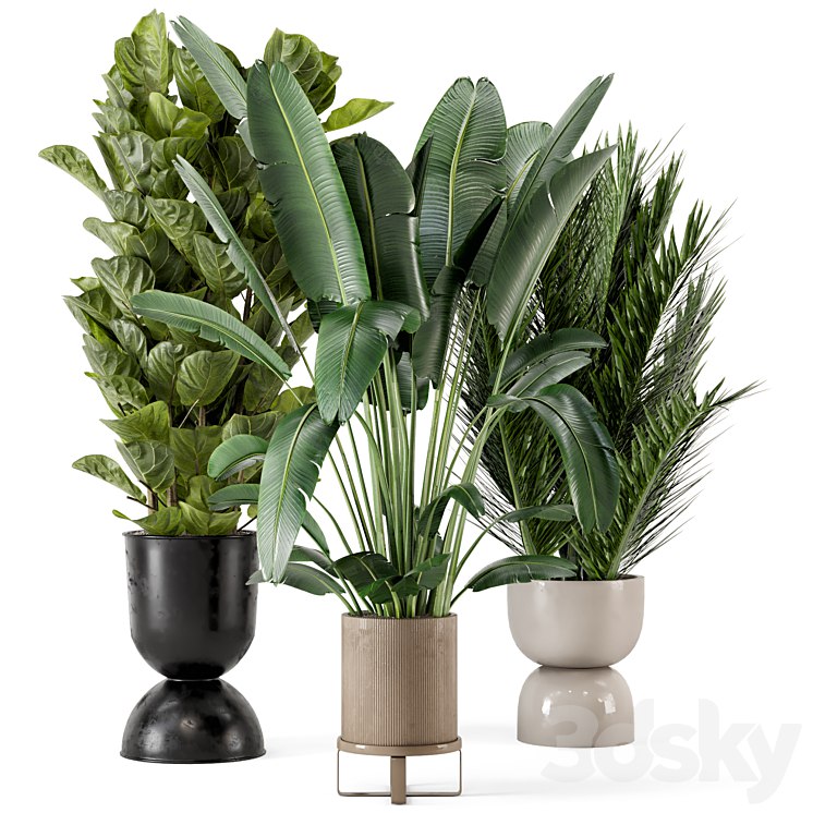 Indoor Plants in Ferm Living Bau Pot Large - Set 273