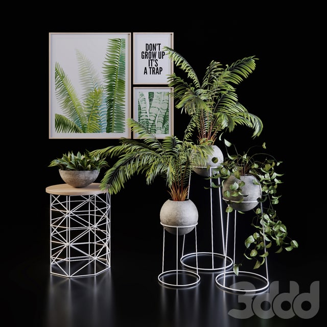 Decorative set with plants