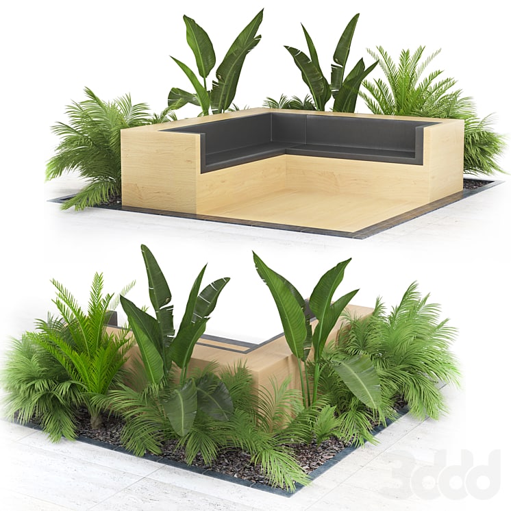 Flowerbed_Palm