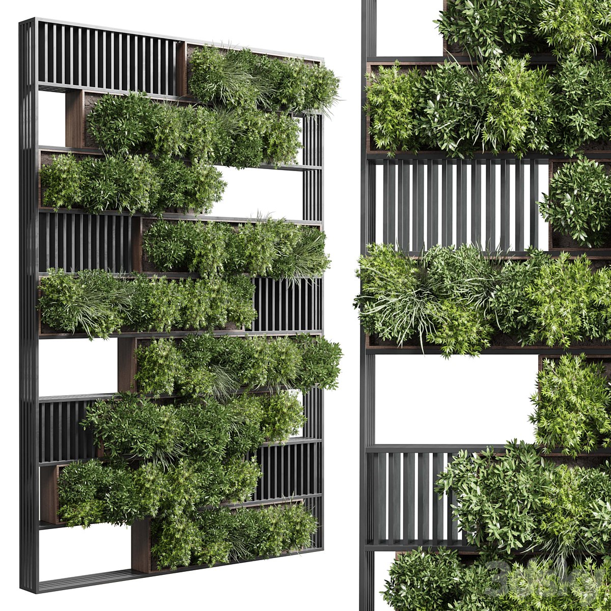 plants set partition in wooden frame - Vertical graden wall decor box 35