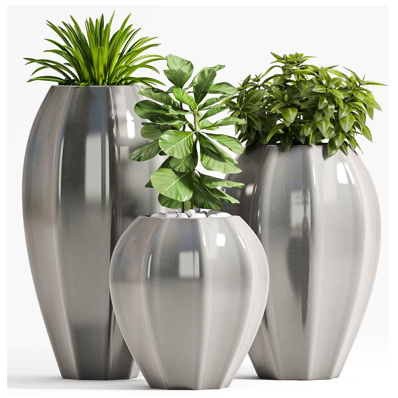 PLANT SET - 70