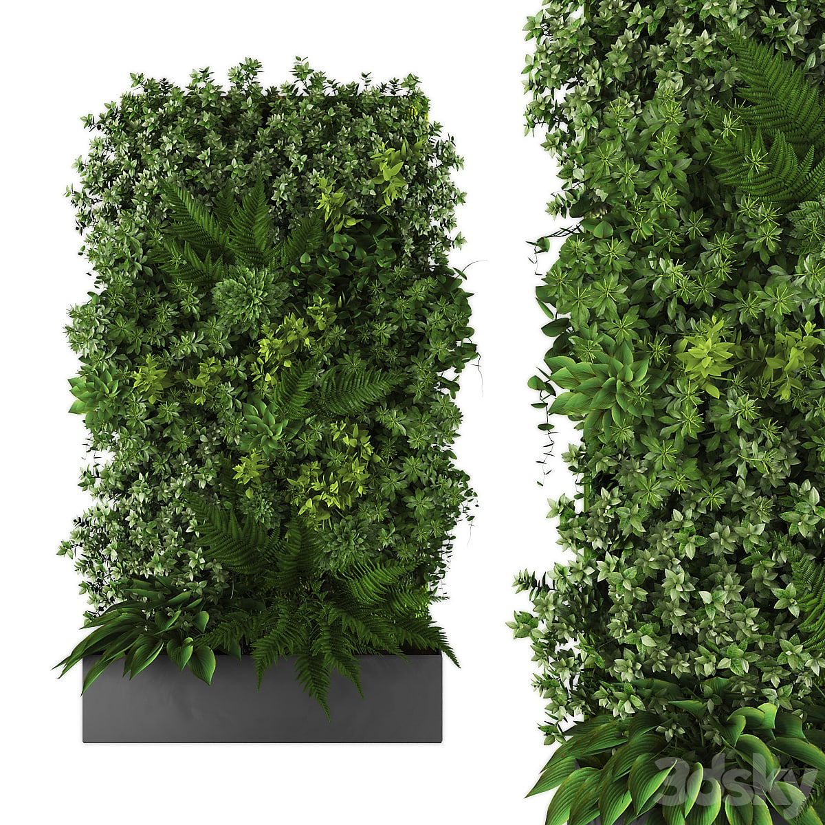 vertical garden167