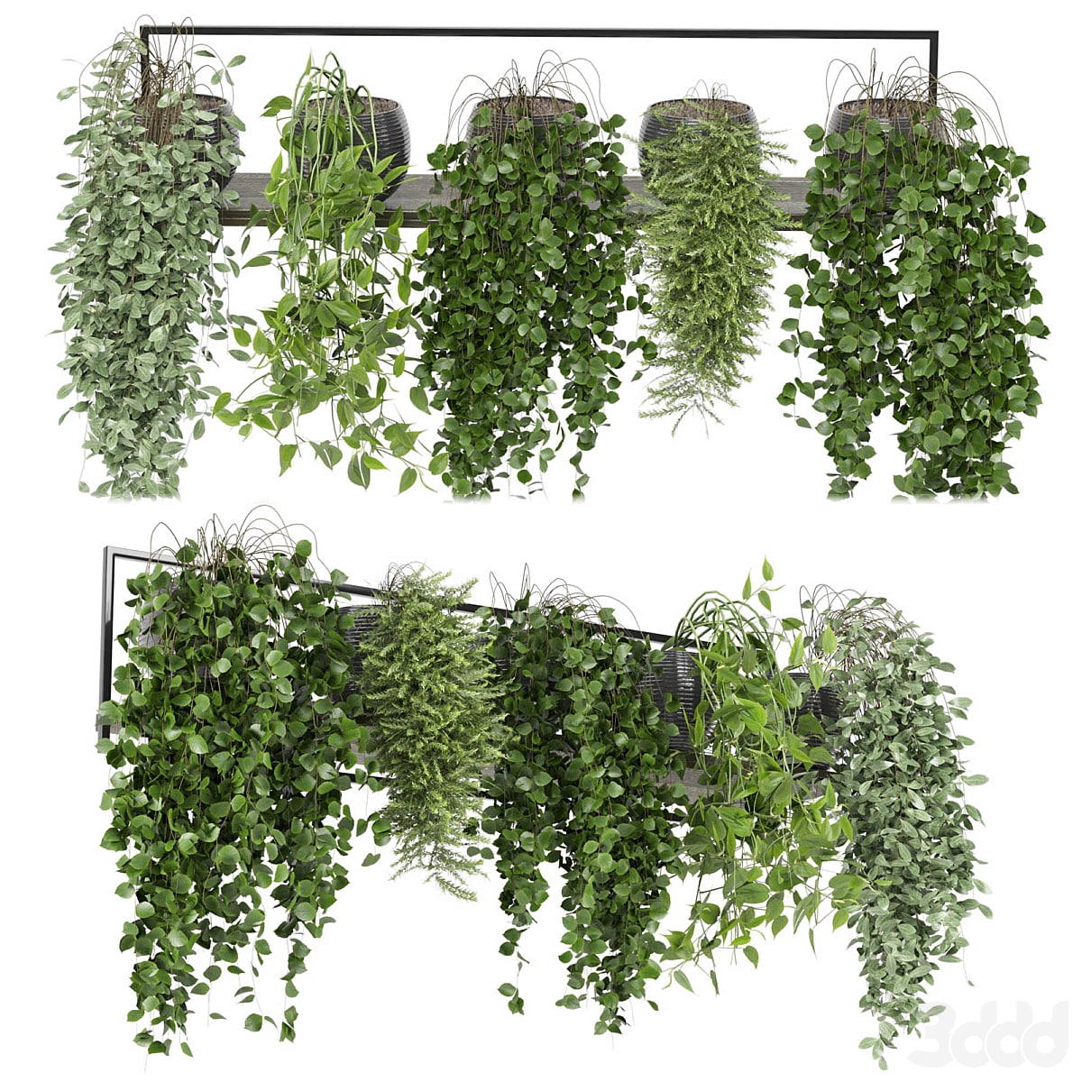 indoor plants in rusty concrete pot on metal shelf - Set 0088