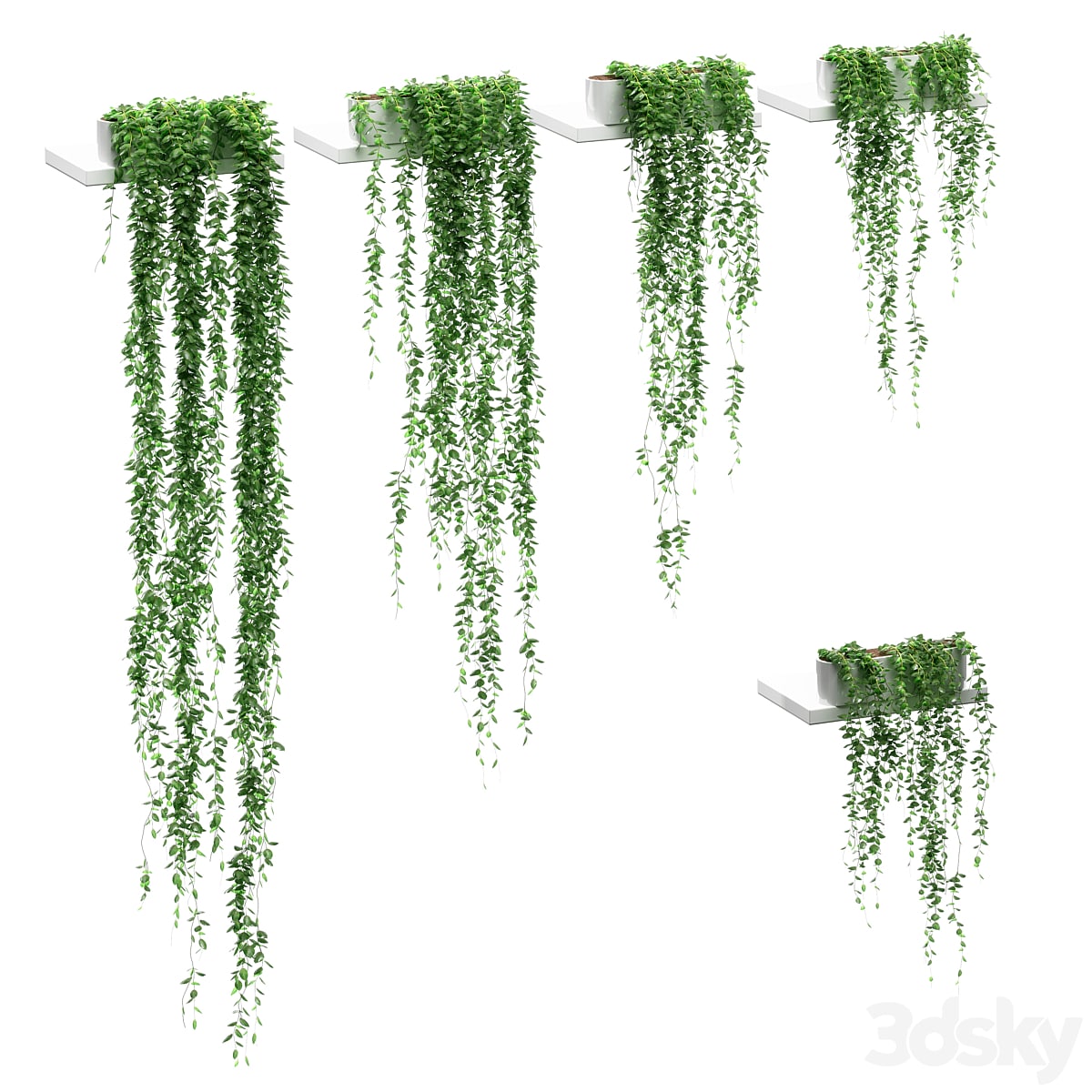 Hanging plants on the shelves. 5 models
