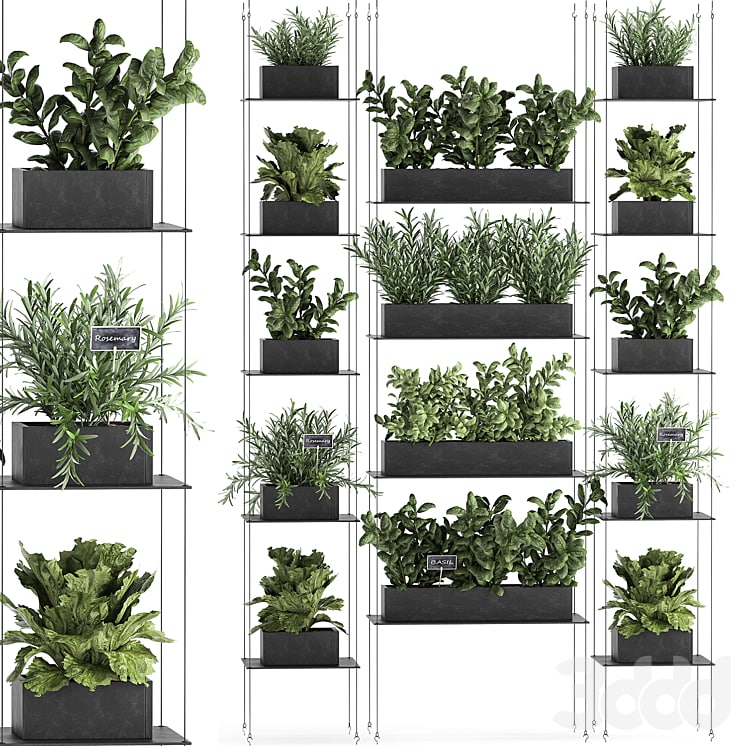 Vertical Garden