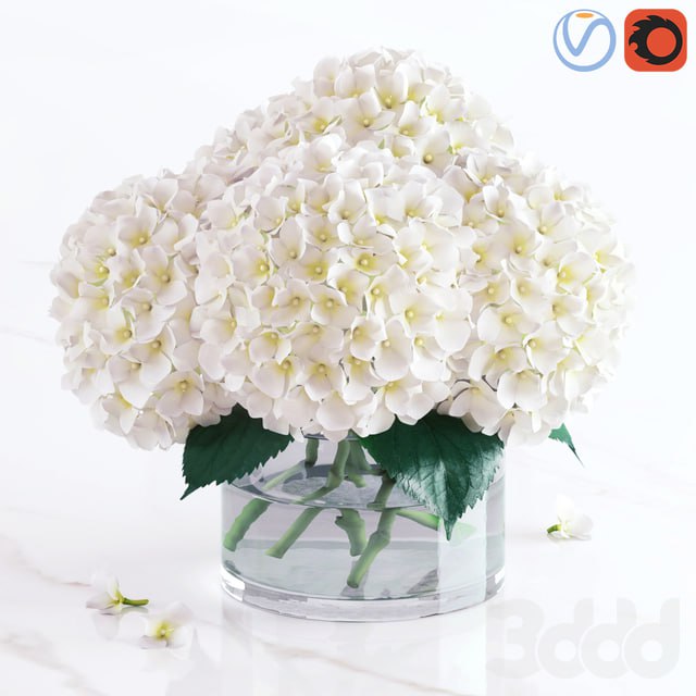 White hydrangea bouquet