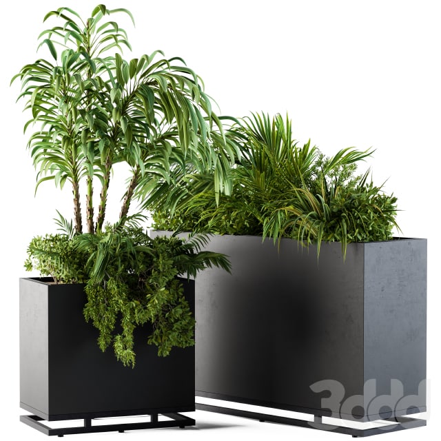 Plant box metal compact04