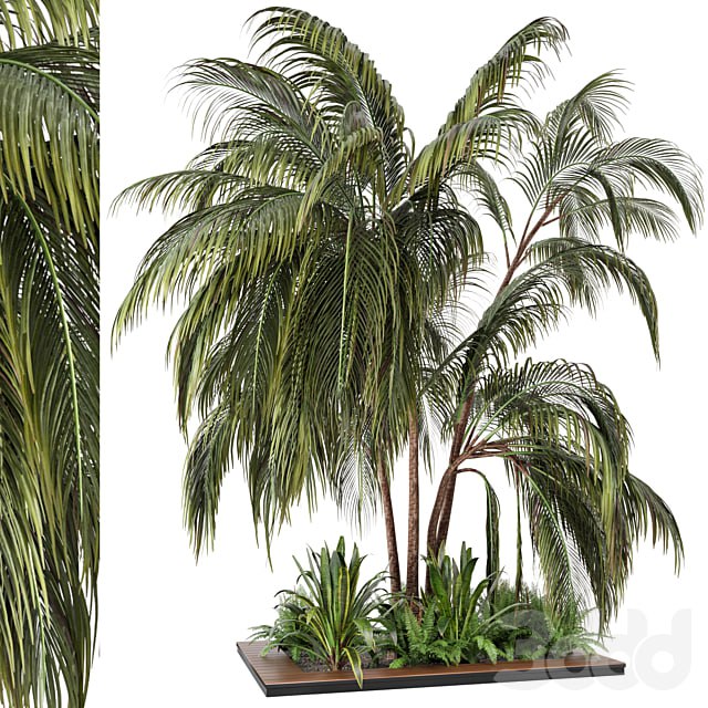 Outdoor Garden set bush and Tree - Garden Set 24