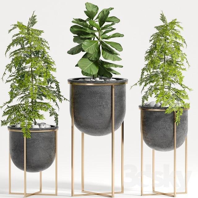 PLANT SET -80 , , , pot, , , , ,