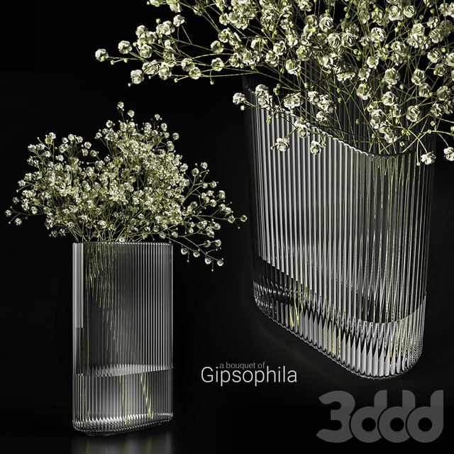 A bouquet of gypsophila