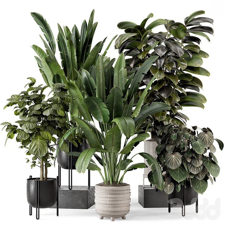 Indoor Plants in Ferm Living Bau Pot Large - Set 1208
