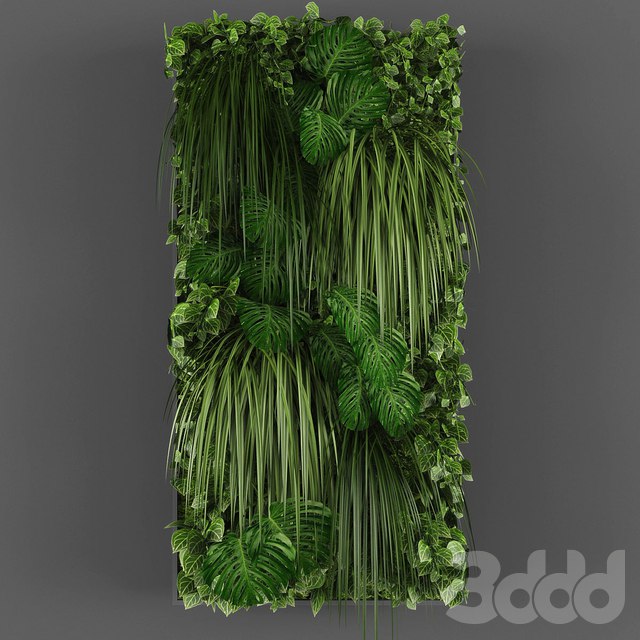 Vertical garden 015