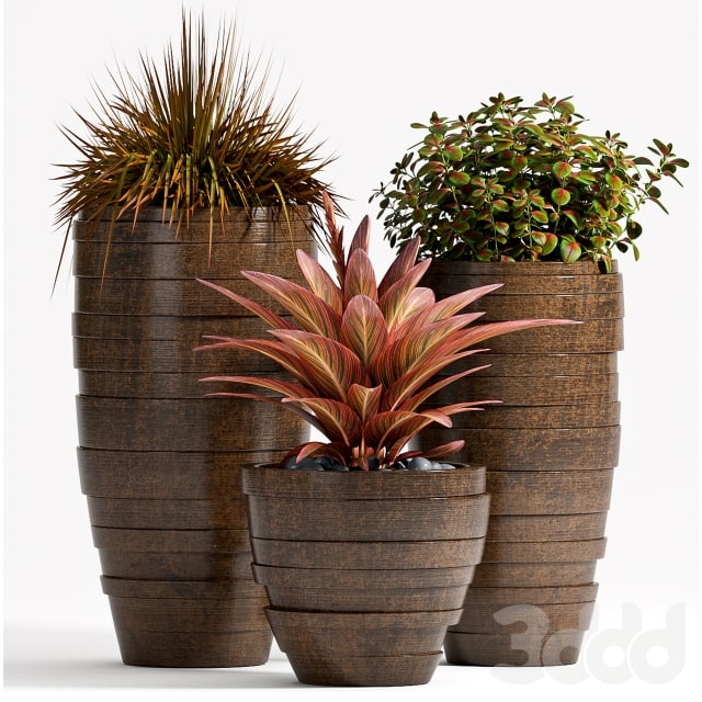 PLANT SET - 72