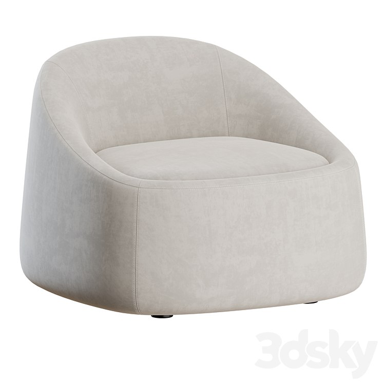 Ripamonti Armchair by DePadova