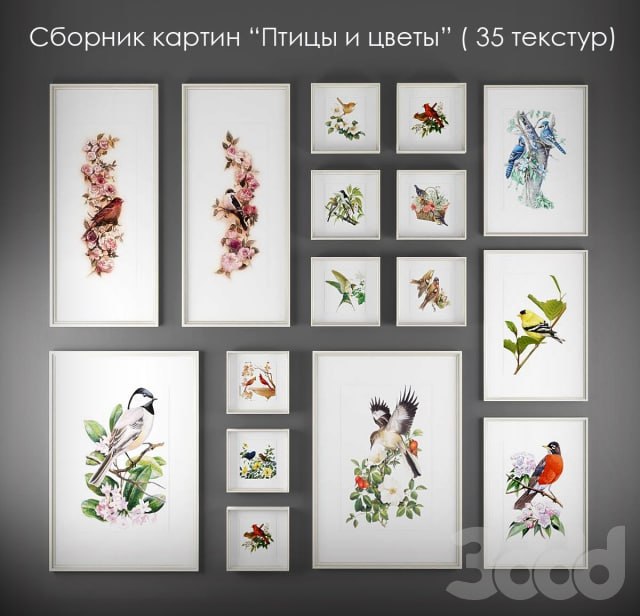 A collection of paintings of birds and flowers