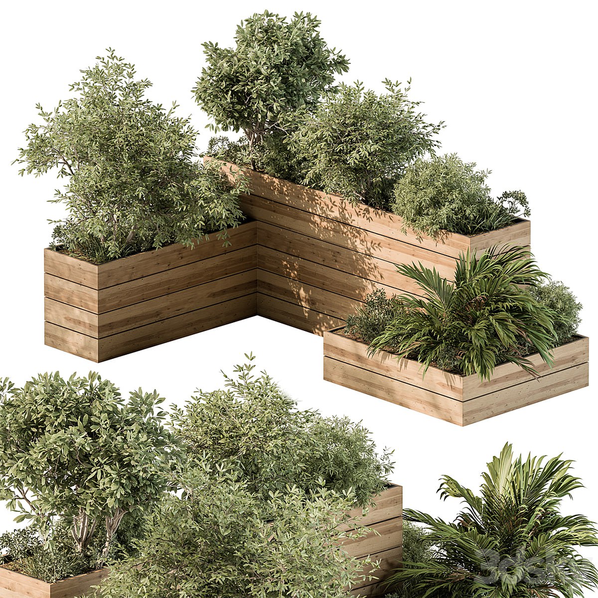 Plant Box - Outdoor Plants 487