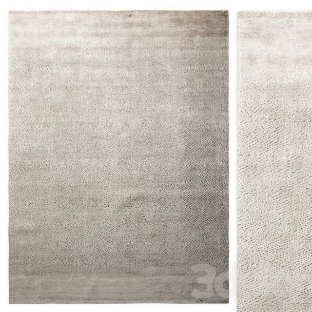 Carpet Molteni &amp; C Random Artic Rugpro