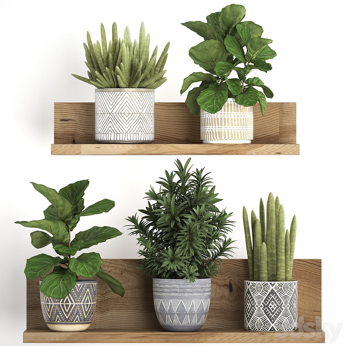 Plant Collection 407. Shelf with flowers, Ficus lyrata, dracaena, sansevieria, indoor plants, Scandinavian style