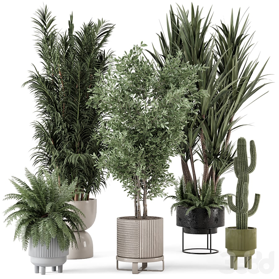 Indoor Plants in Ferm Living Bau Pot Large - Set 362