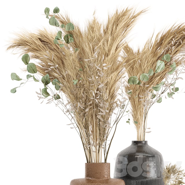 Dry plants 19 - Dried Plantset Pampas with Concrete vase