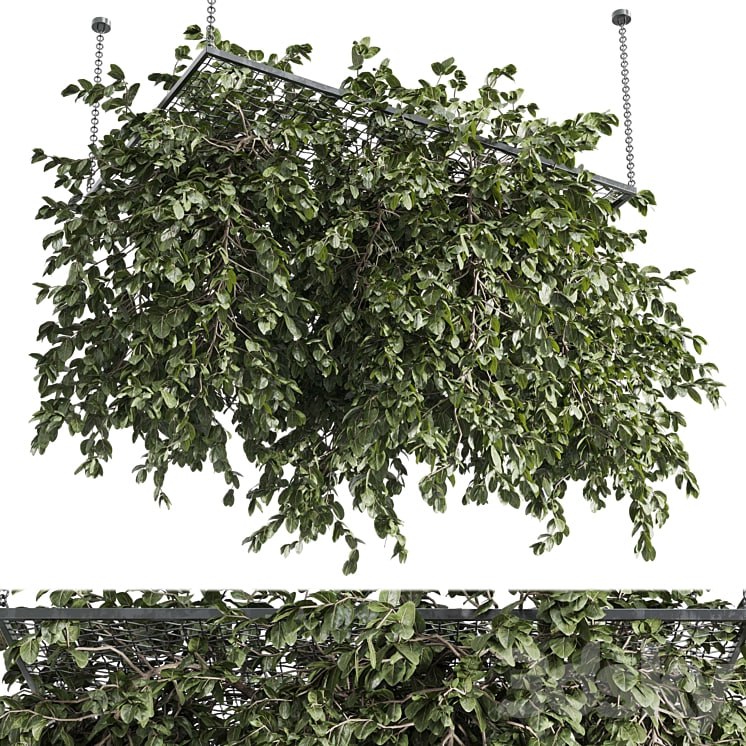 Hanging plants - outdoor plant set 171