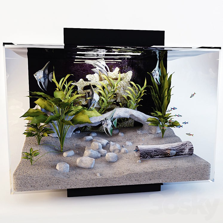 [di_shkaa](https://t.me/di_shkaa) Aquarium