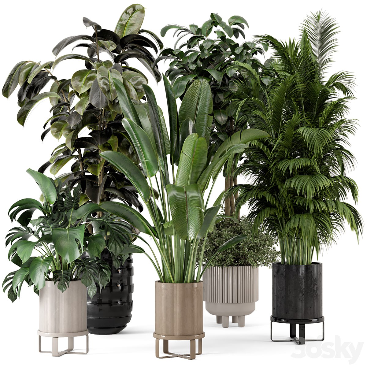 [TetianaGureva](https://t.me/TetianaGureva) Indoor Plants in Ferm Living Bau Pot Large - Set 548