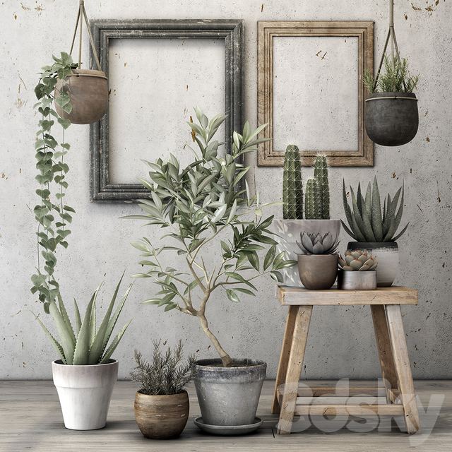 Decorative plant set