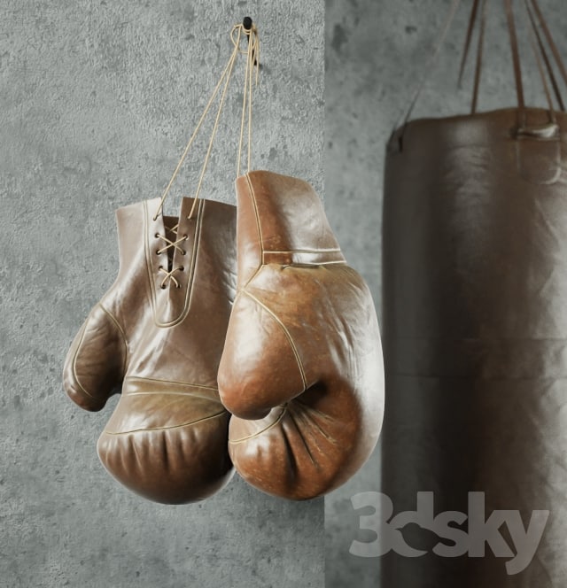 Champion (Boxing equipment)