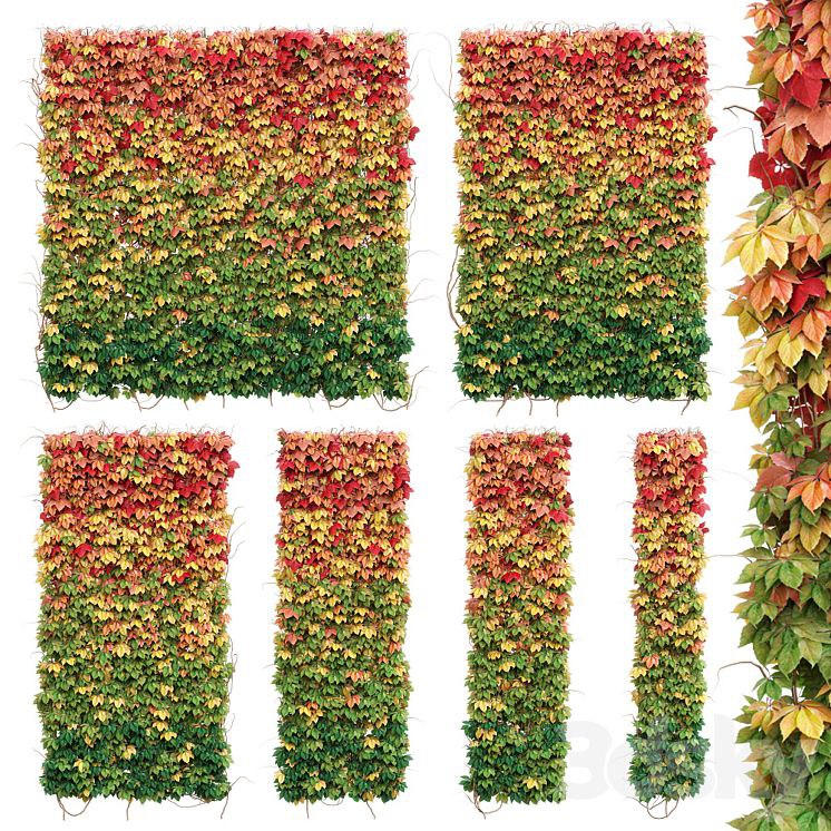 Wall from autumn leaves. Set of 6 models
