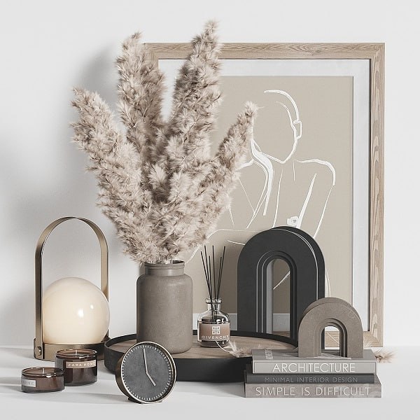 Decorative Set Dried Plant