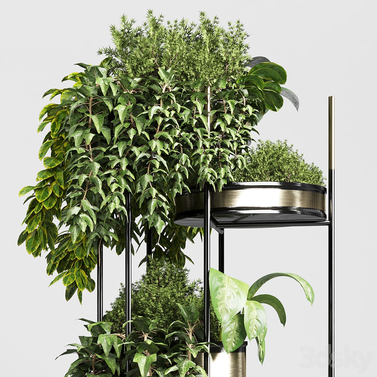 collection Indoor plant plant stairs stand metal vase 10