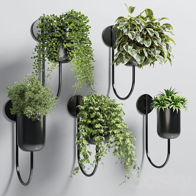 collection Indoor plant 135 vase metal stand wall plant