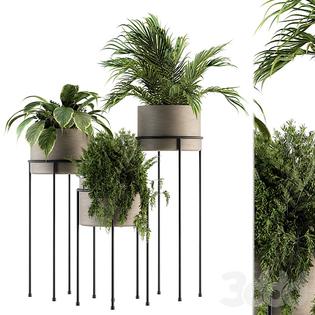 Plant Set 129 - Plant Stand