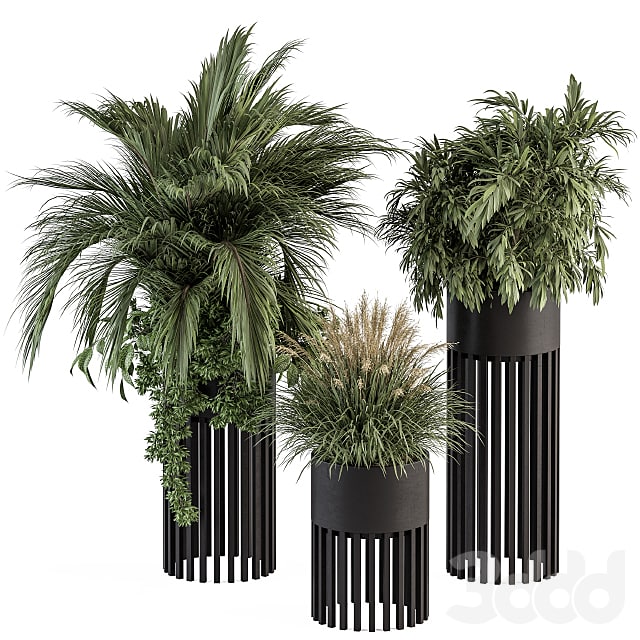 indoor Plant Set 301 - Plant Set in Round Stand Black pot