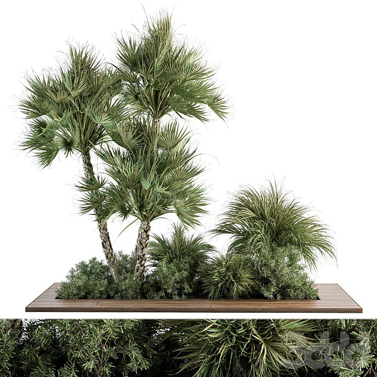 Garden Set Tropical Plants - Outdoor Plants Set 369