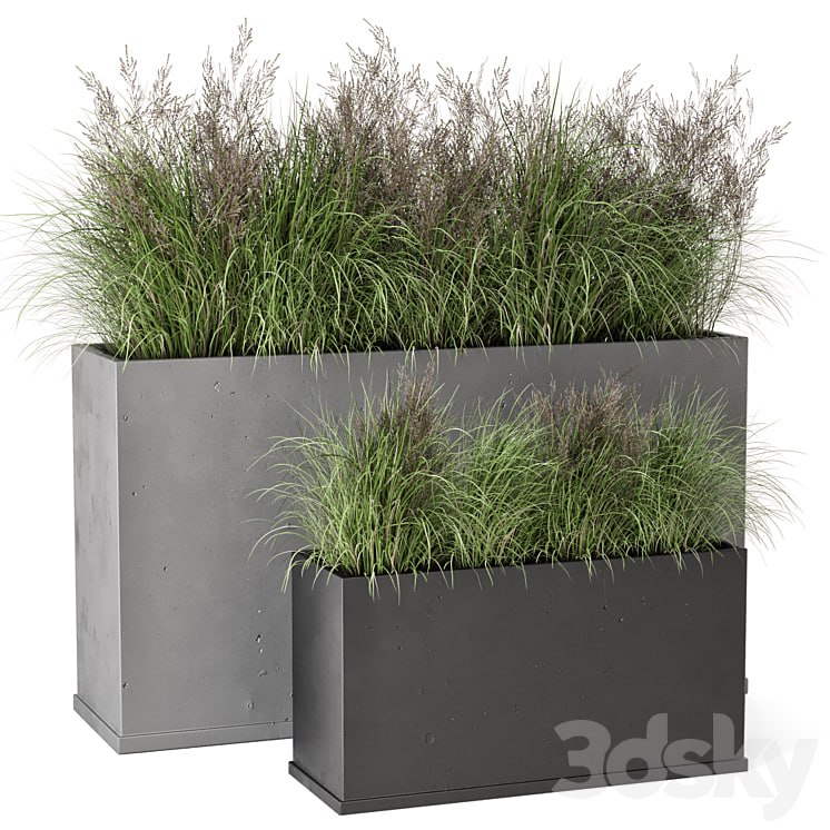 Outdoor Plants Bush in rusty Concrete Pot - Set 565