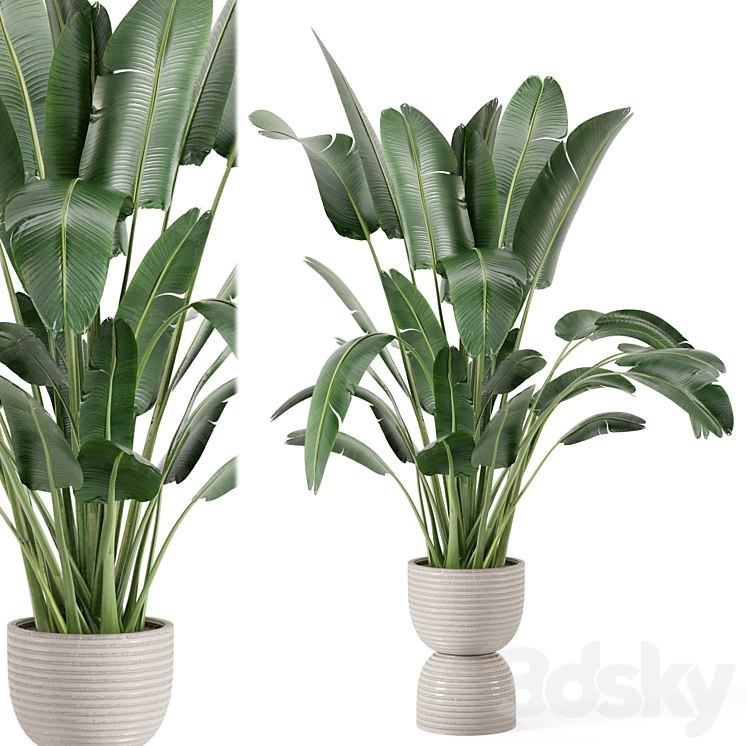 Indoor Plants in rusty Concrete Pot - Set 298