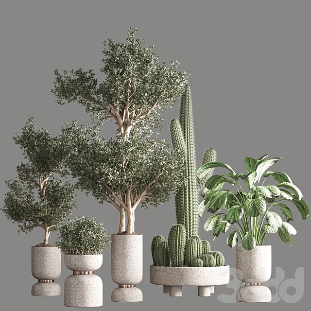 indoor plant set 26