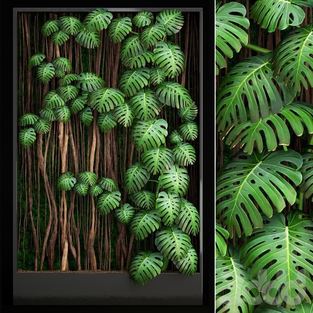 Vertical garden 9. Monstera, phytowall, phytomodule, eco design, vertical garden, decorative