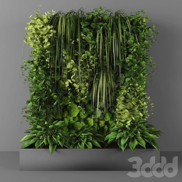 Vertical garden 096
