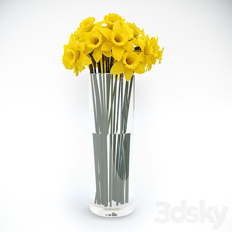 Tubular daffodil