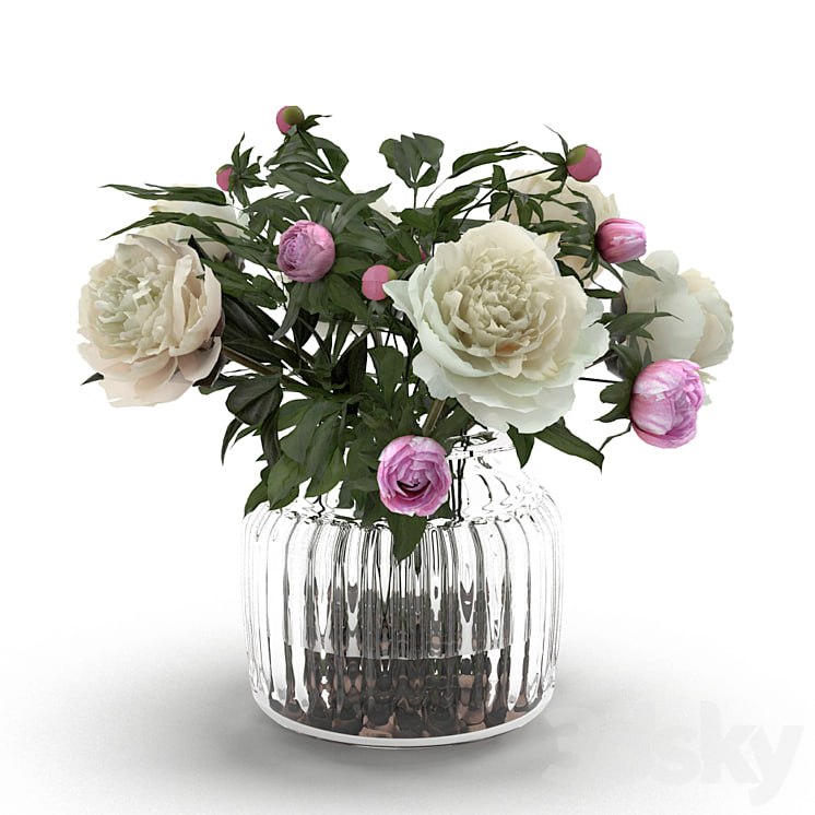 Cream Peonies in ribbed glass vase