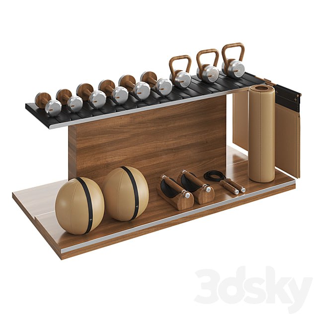 PENT luxury fitness equipment part 2