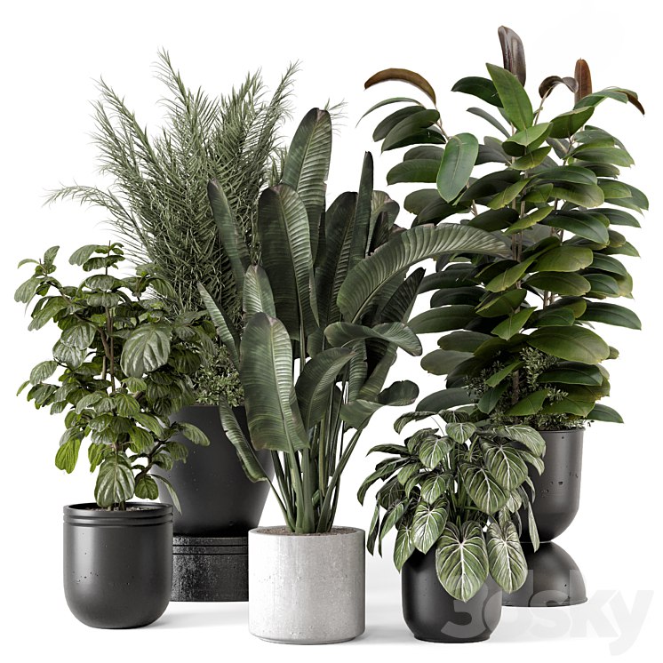 Indoor Plants in rusty Concrete Pot - Set 1265