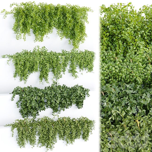 Hanging wall plants collection vol 64 #