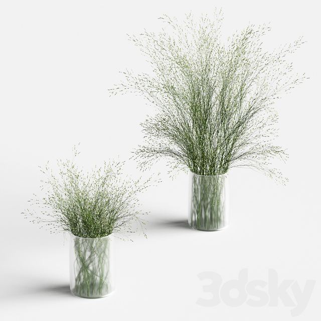 Grass in vases 2