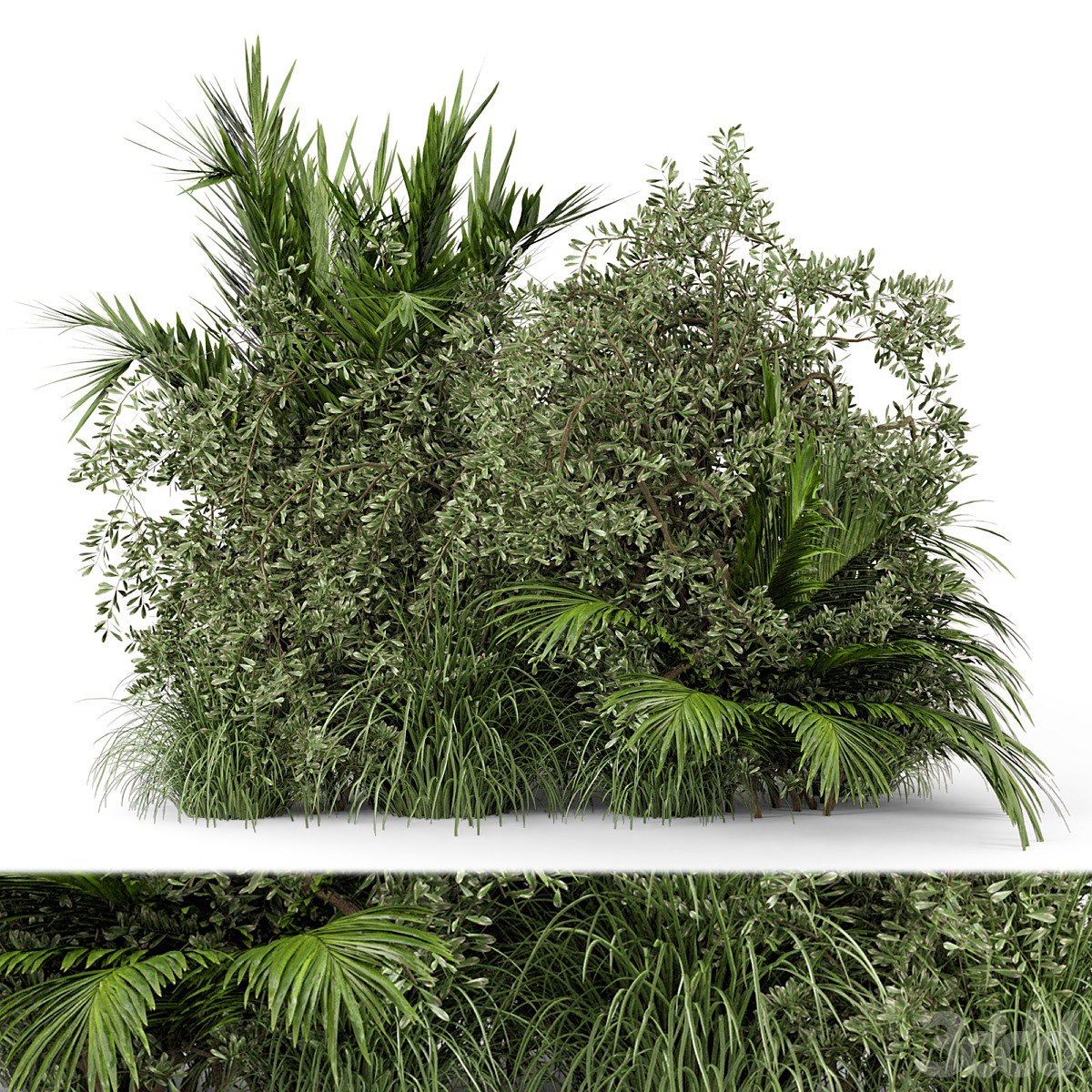 Outdoor Plants Bush -Bush Set 446