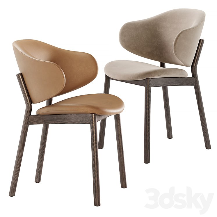 Holly chairs by Calligaris