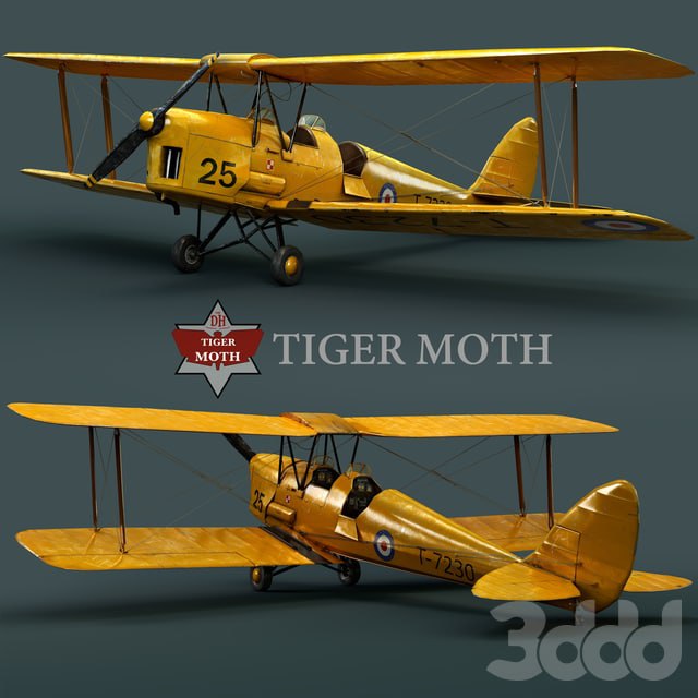 Tiger moth